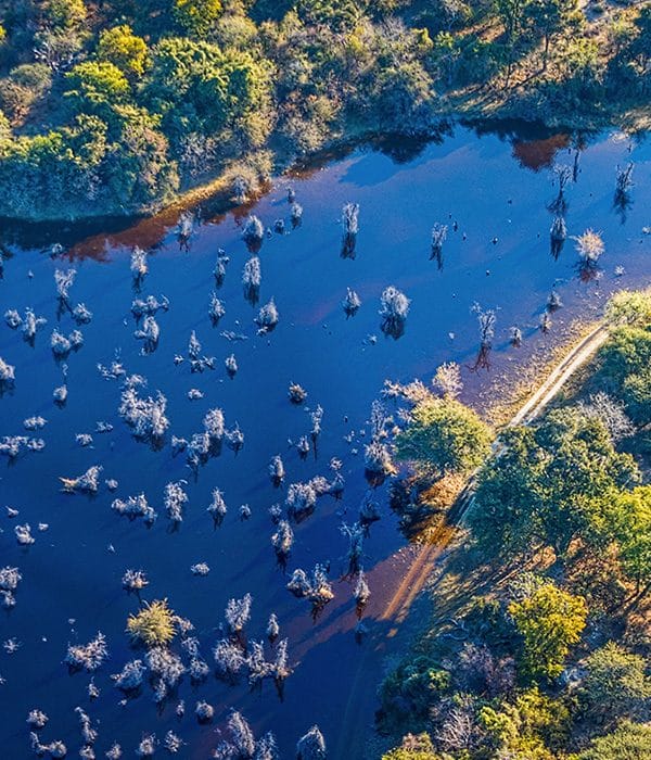 Delta de Okavango 2