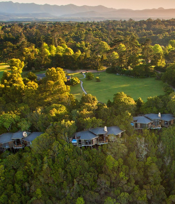 Tsala Treetop Lodge 10