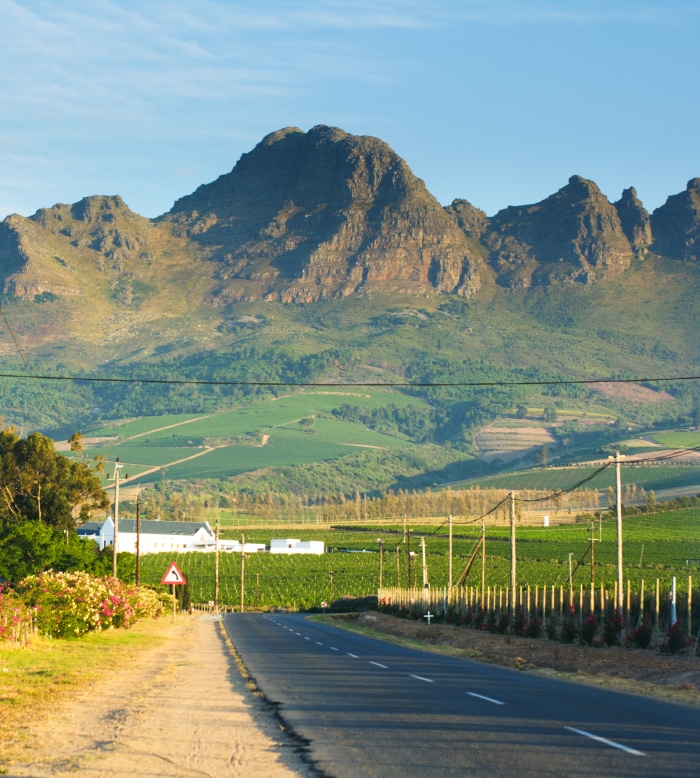 Tour do Vinho para o Connoisseur 2