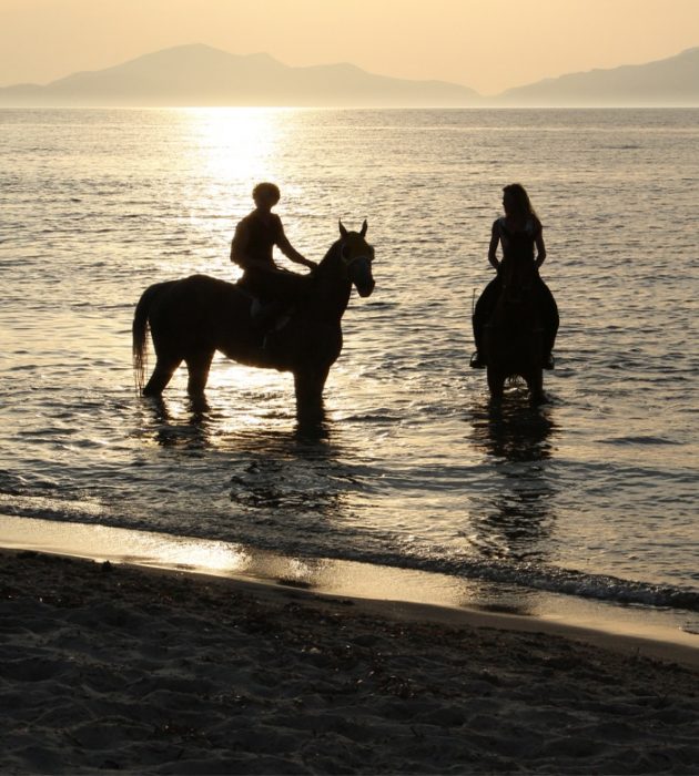 Equitação na praia 6