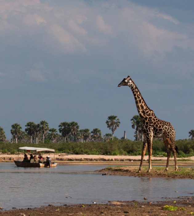 Safari Barco Rufiji 15