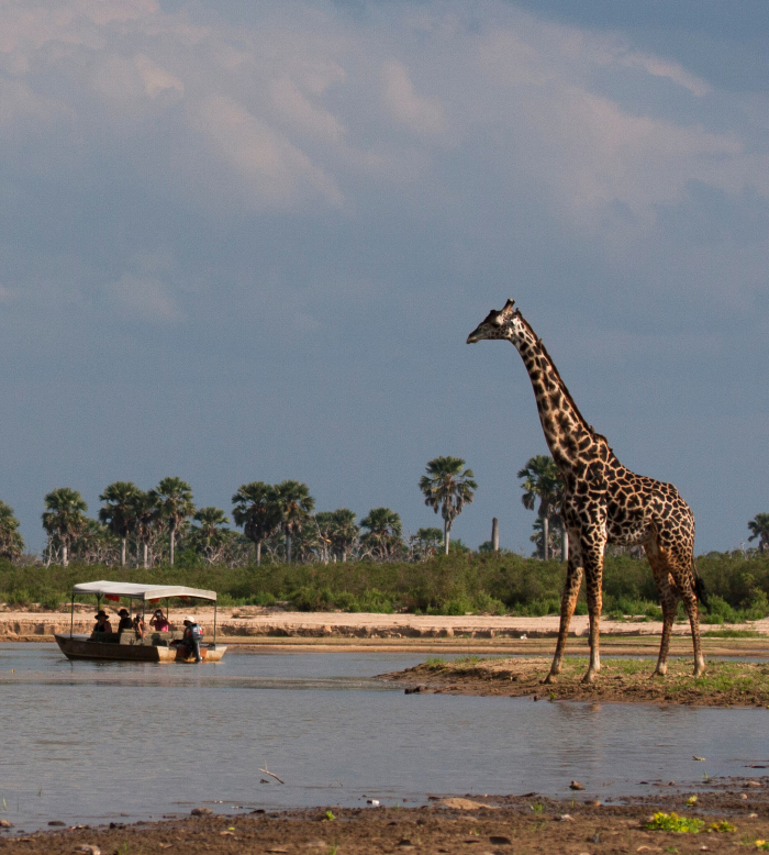 Safari Barco Rufiji 4