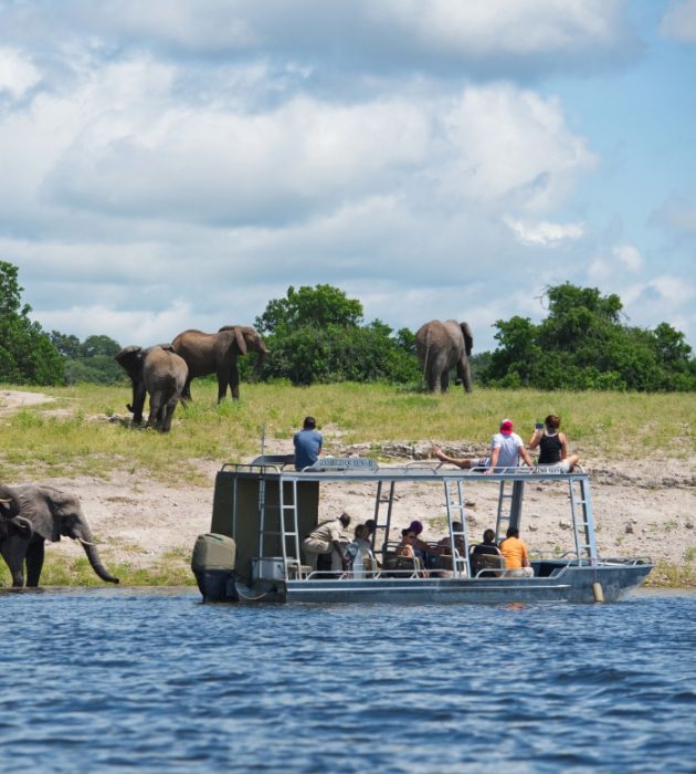 Passeios de barco através dos canais 20