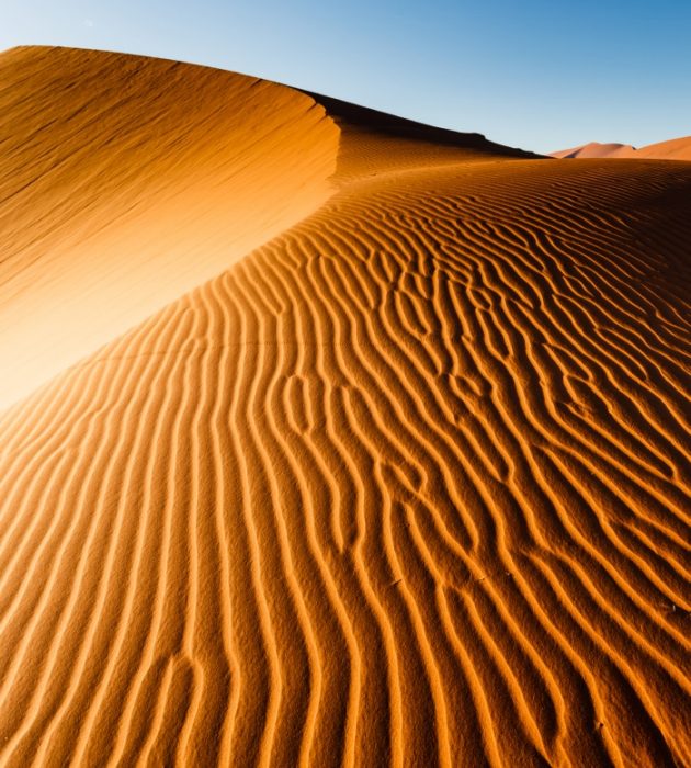 Excursão das Dunas de Sossusvlei 8