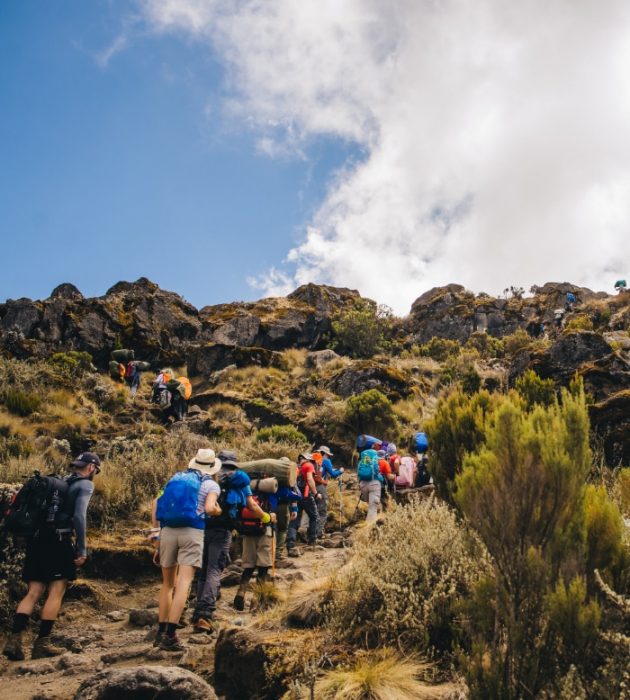 Caminhada Kilimanjaro 11