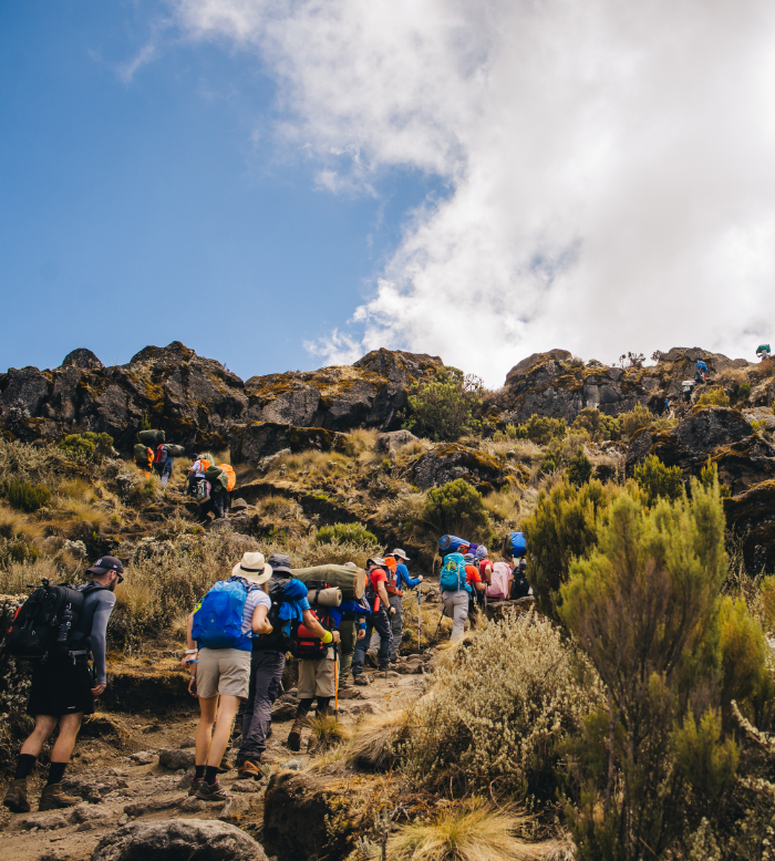 Caminhada Kilimanjaro 1