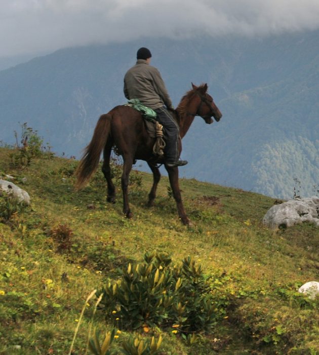 Safari a cavalo 7