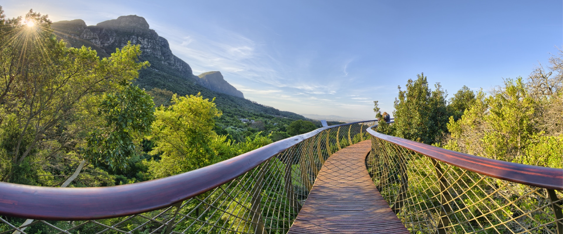 Passeie pelos Jardins Botânicos de Kirstenbosch