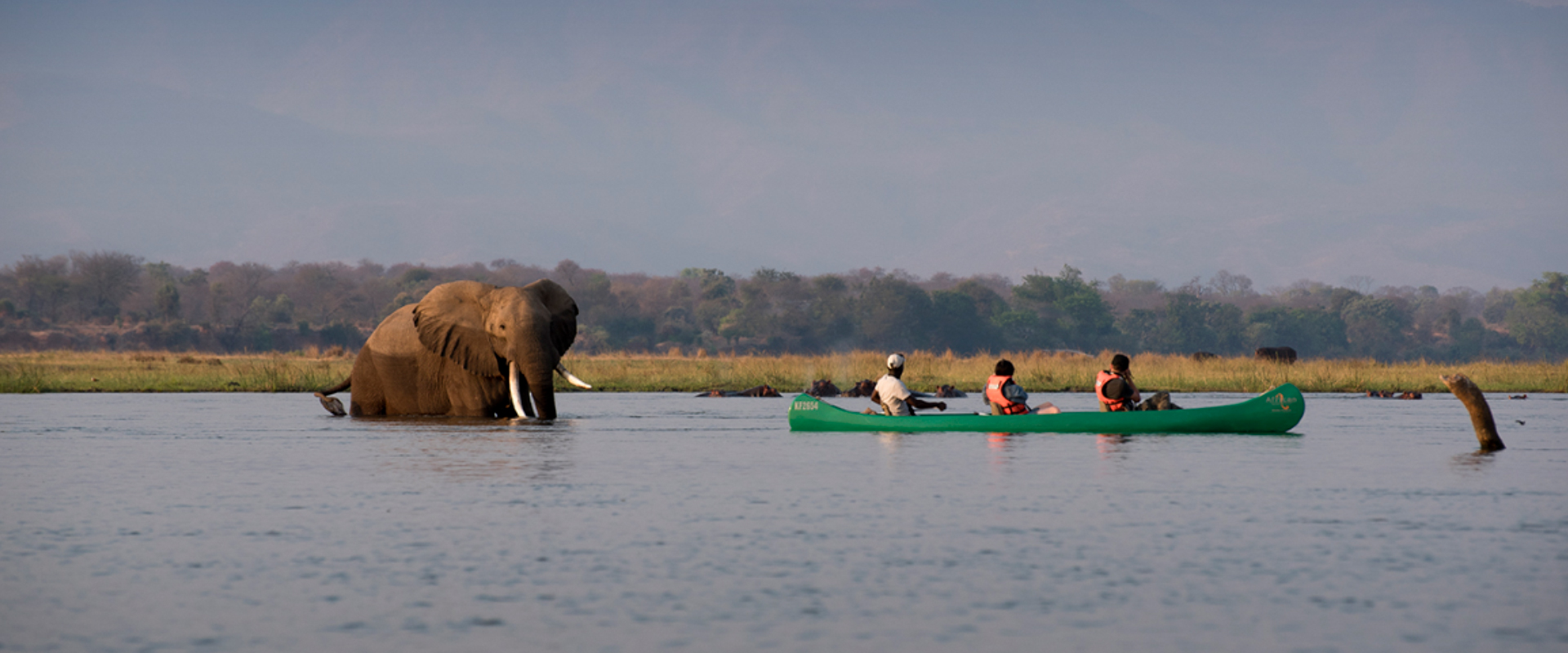 Desfrute de um emocionante safari de canoas Zambezi