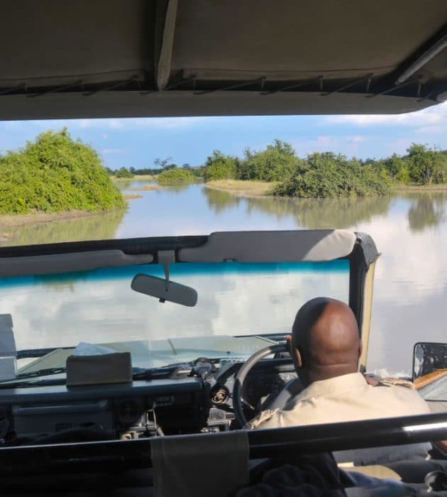 Okavango Safari 8