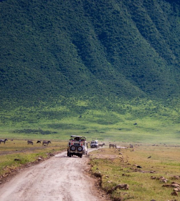 Safari através da conservação da Tanzânia 12