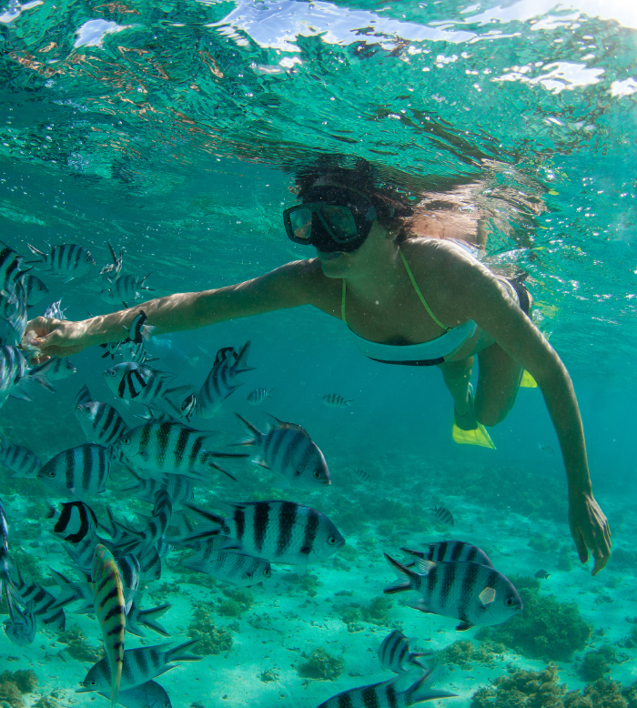 Snorkel para Espécies de Cor Brilhante 2