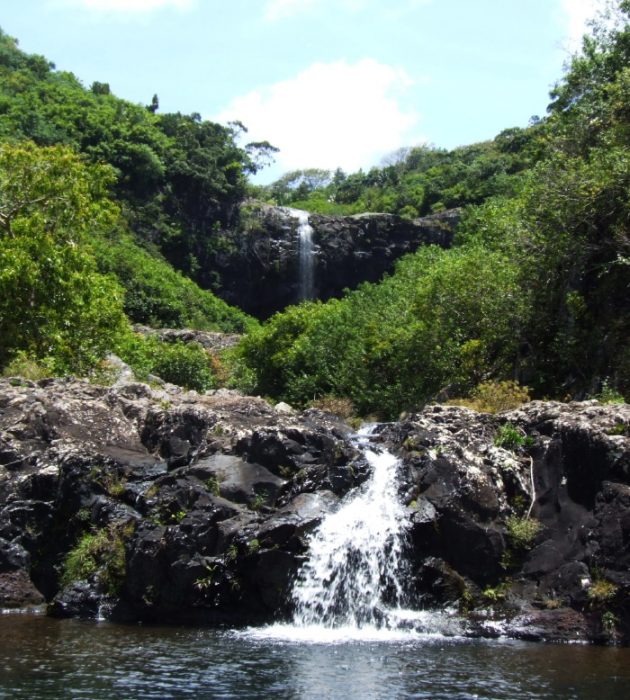 Visite Tamarin Falls 5