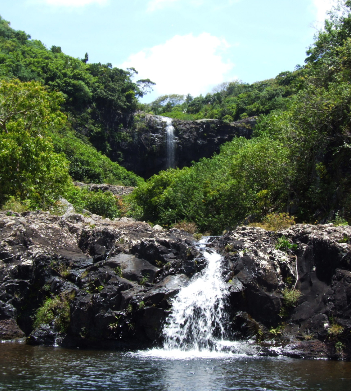 Visite Tamarin Falls 1