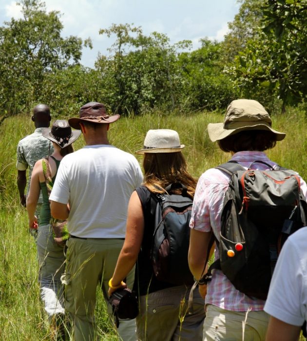 Safari Caminhada Okavango 23