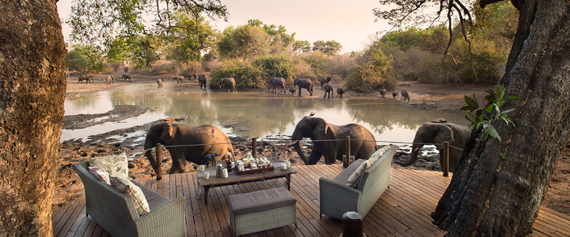 Sente-se para uma poltrona Safari no Kanga Camp