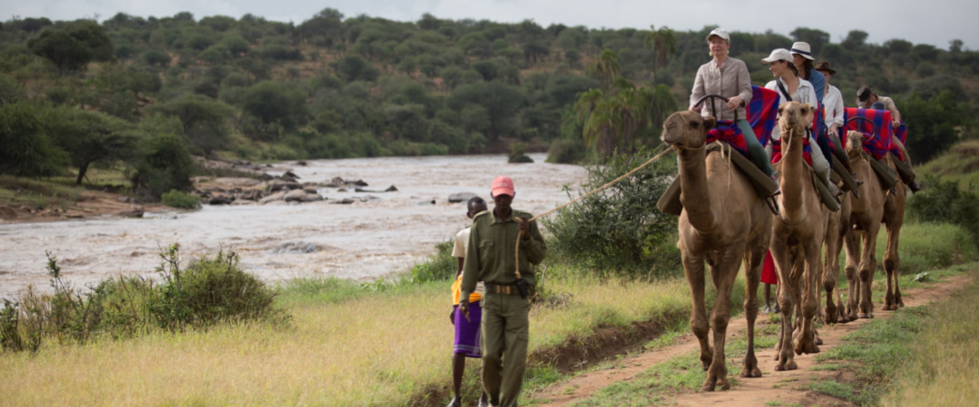 Experimente a vida selvagem e a paisagem em um safári de camelos