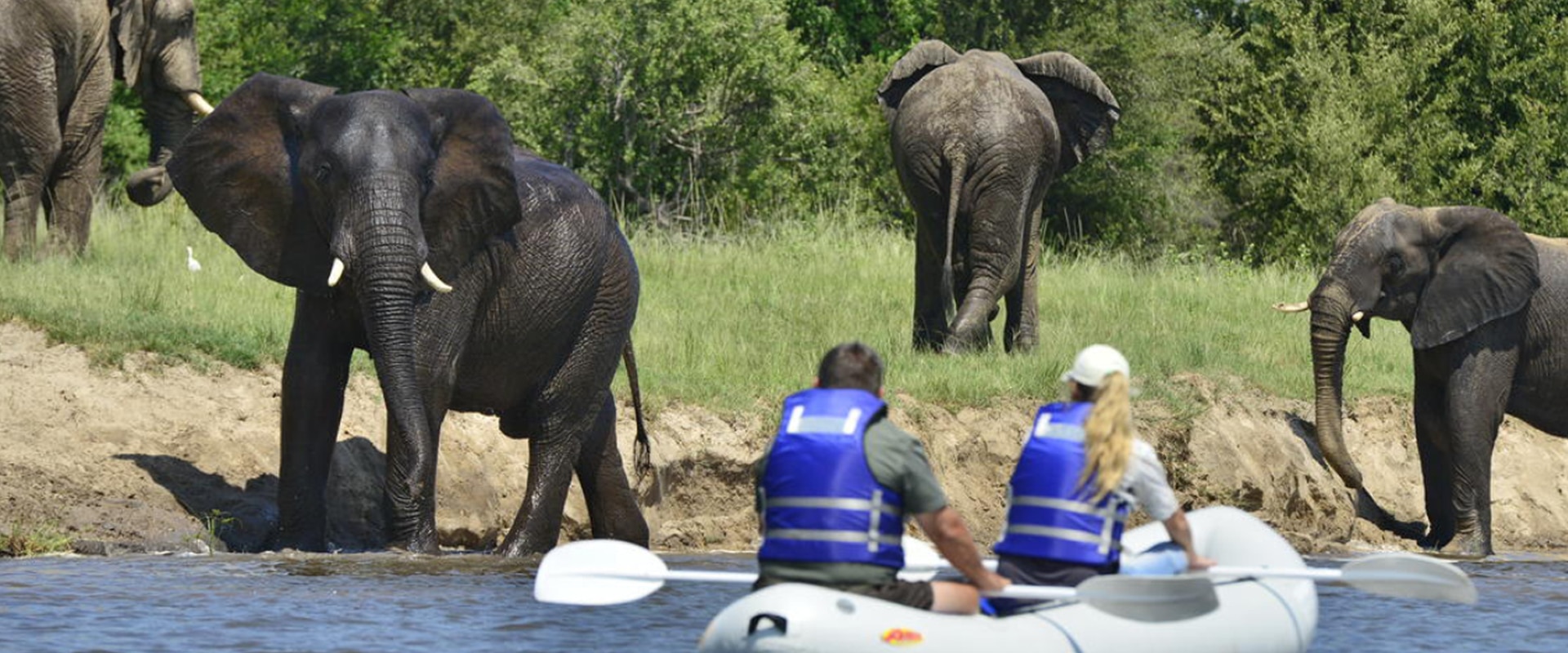 Aproveite os locais em um safári de canoa Zambeze