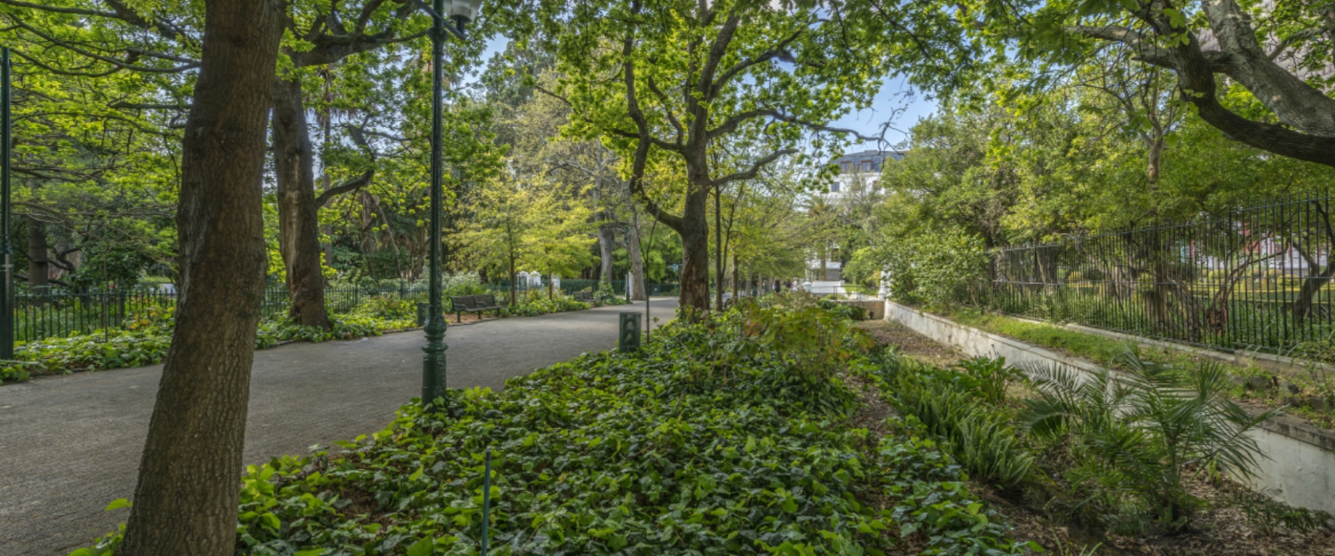 Passeie tranquilamente pelos jardins da empresa estabelecidos e exuberantes