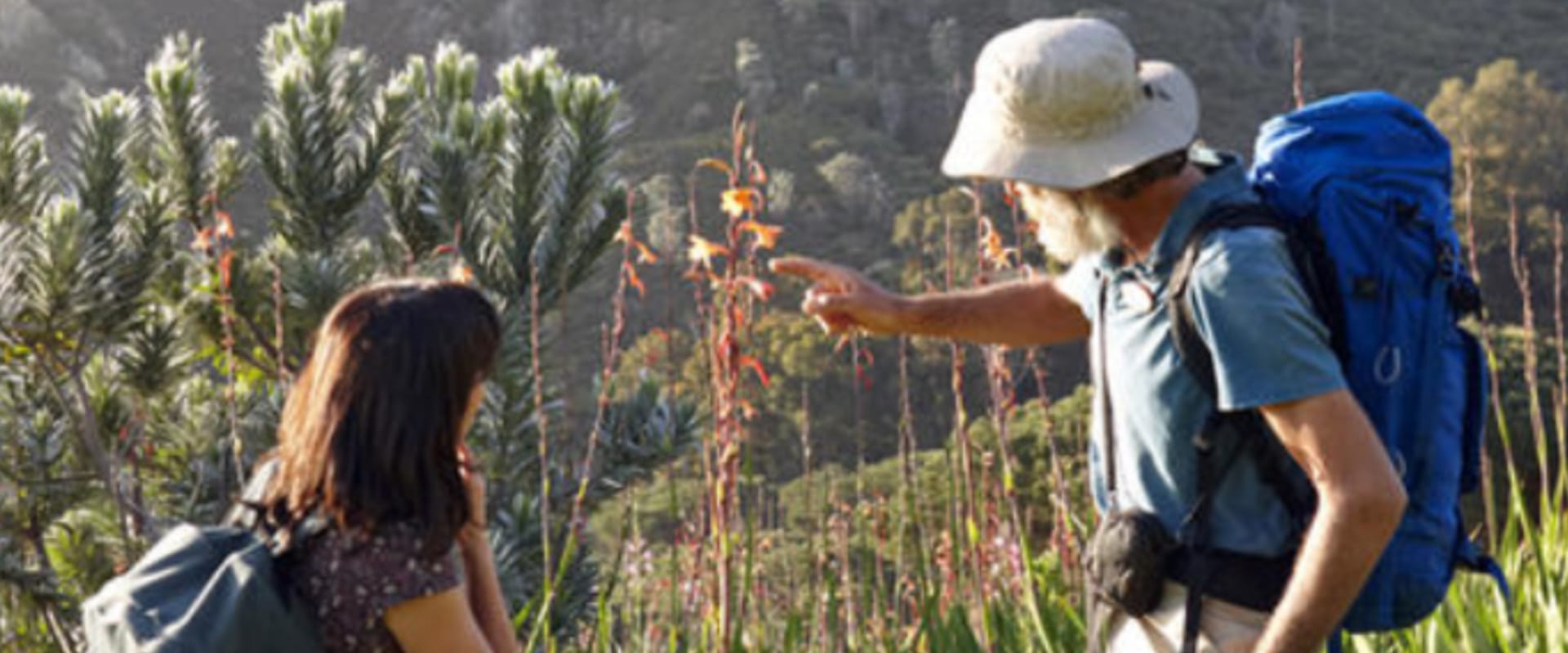 Caminhada por Fynbos ao pôr do sol