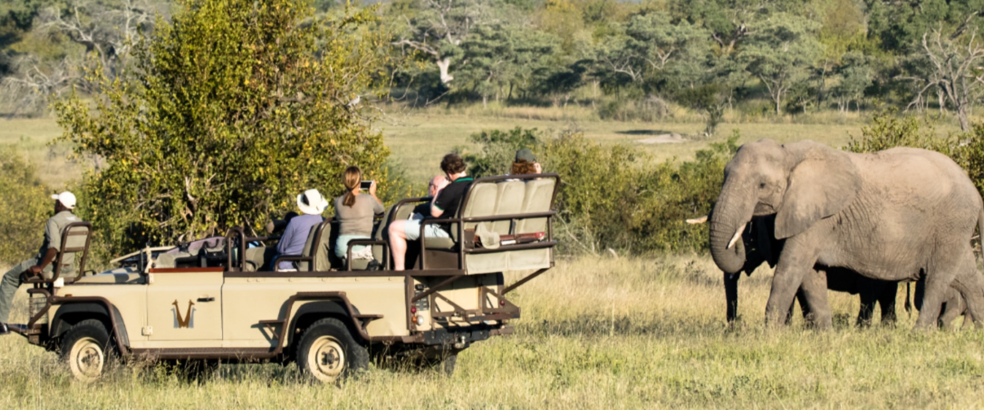 Espetaculares avistamentos da vida selvagem do Big 5 da África