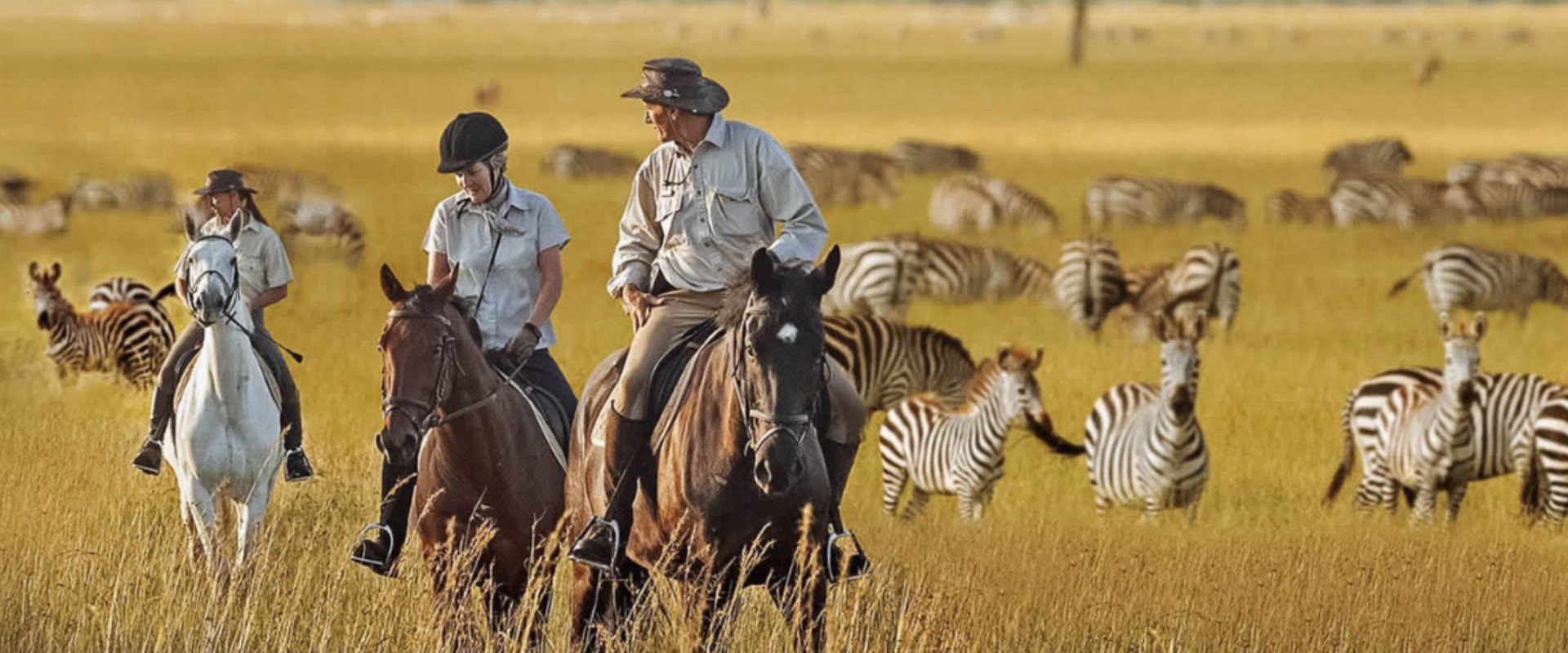 Passeios a cavalo neste santuário de aventura