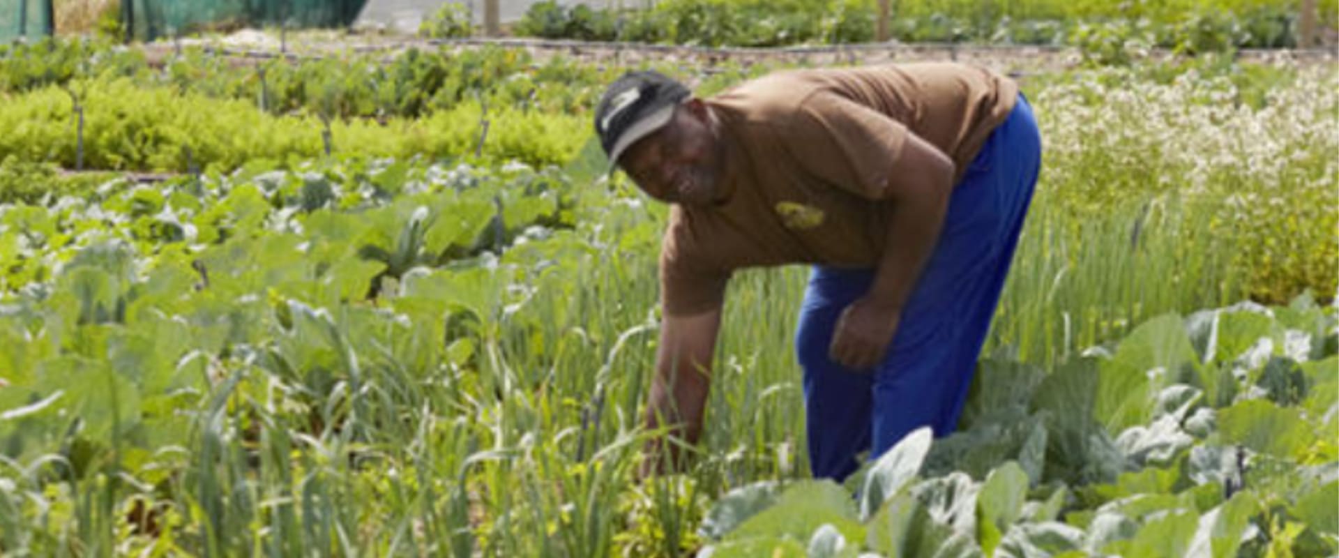 Visite um município empreendedor Khayelitsha