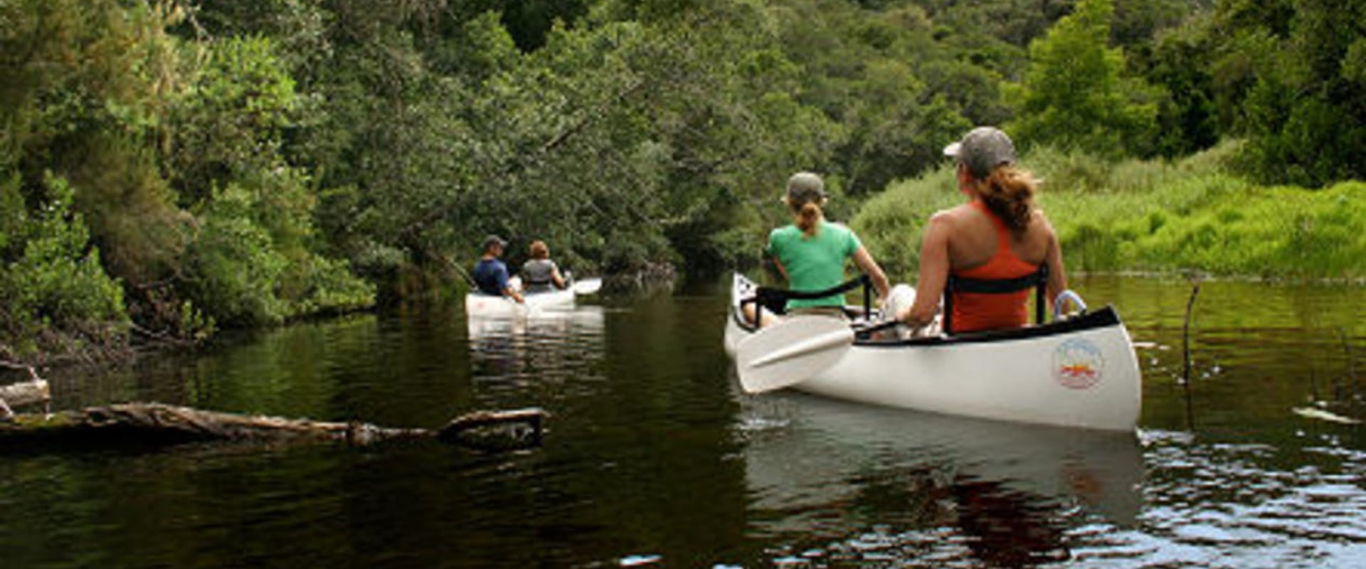 Canoa ao longo do pitoresco Rio Goukamma