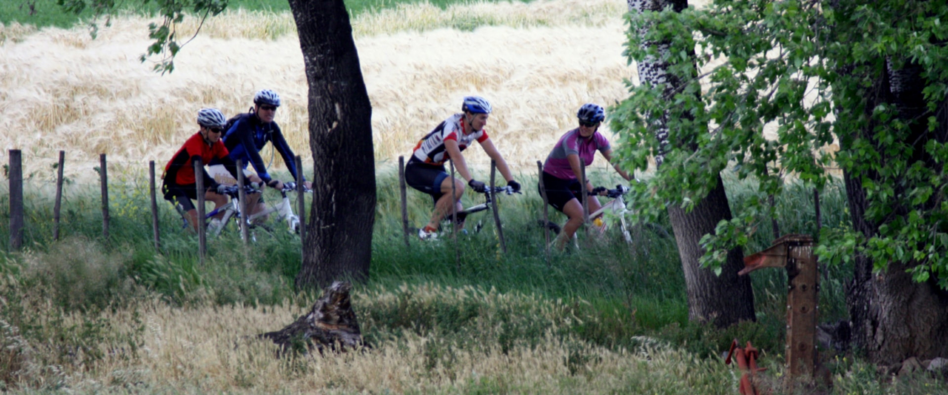 Andar de bicicleta de montanha pelo campo