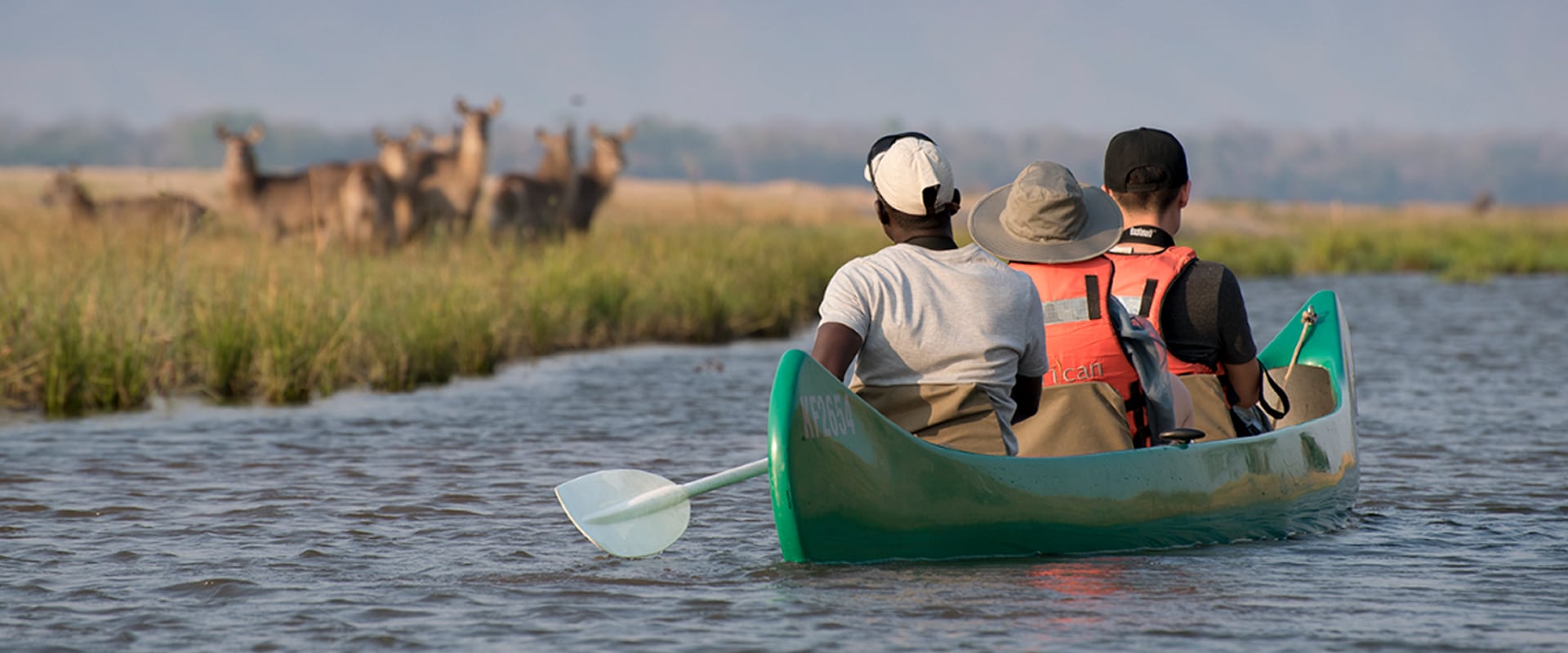 Explore o Rio da Vida em um safari de canoa