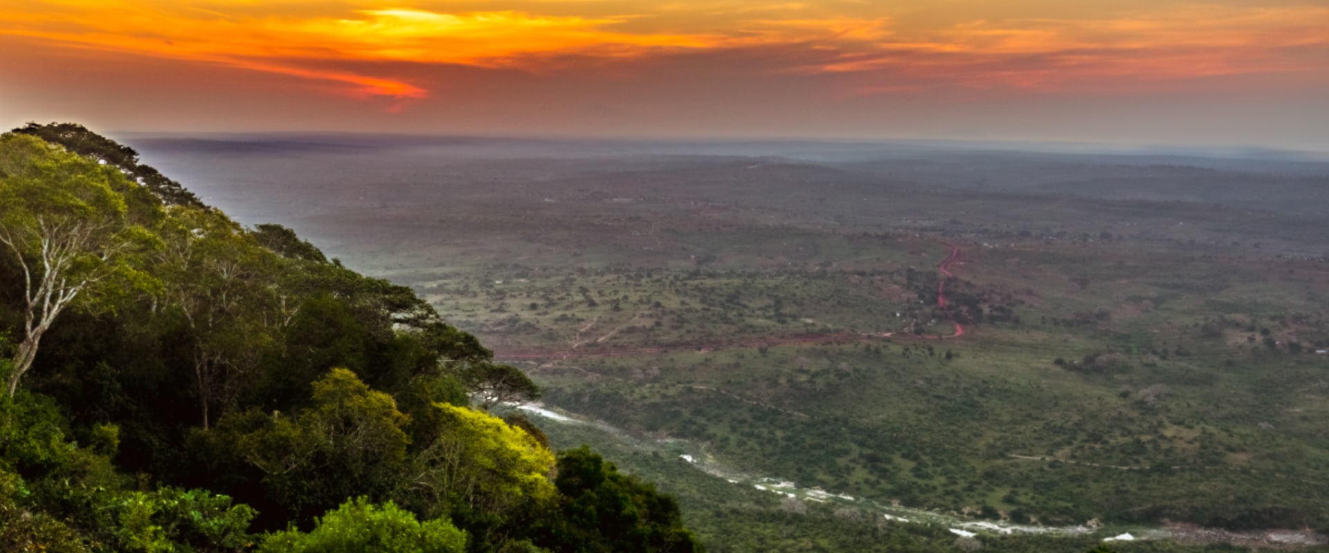 Mergulhe em um safari de dia em Shimba Hills