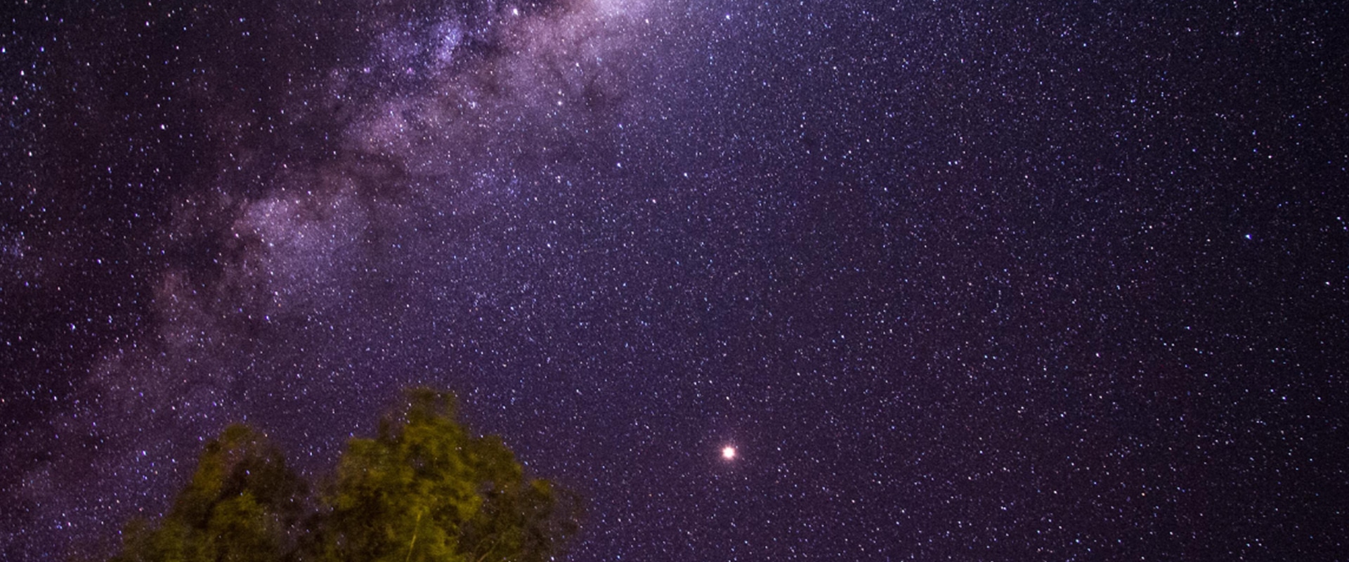 Admire o brilhante e maravilhoso cosmos sul-africano