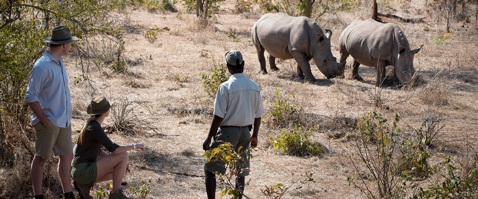 Sinta a emoção de um safari a pé em busca de rinocerontes