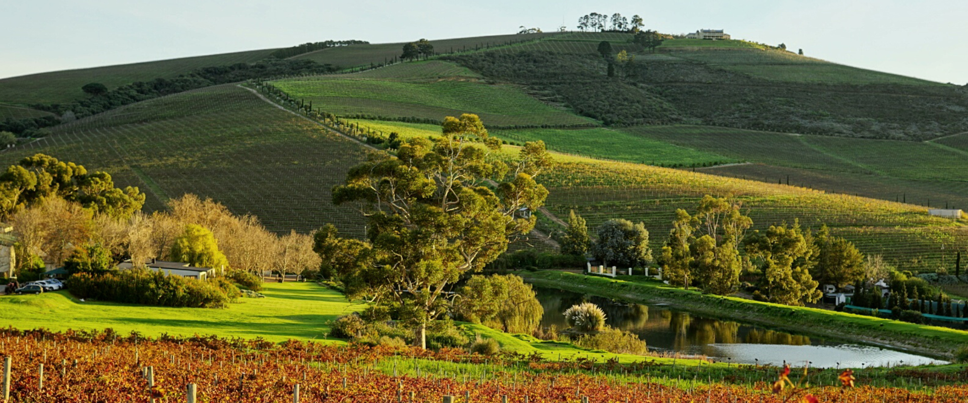 Propriedade do vinho da Jordânia