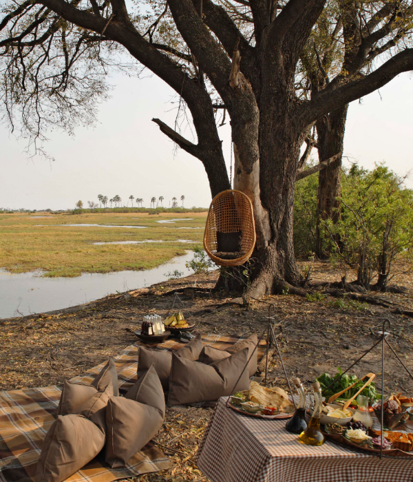 andBeyond Sandibe Okavango Safari Lodge 12