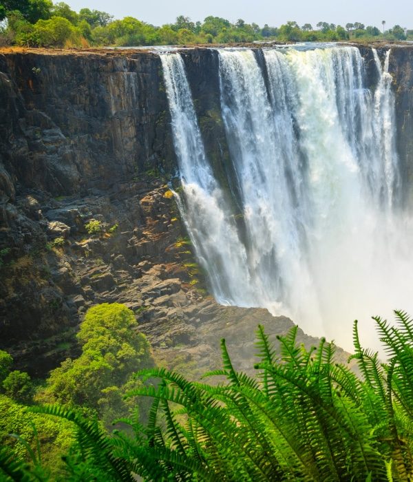 Cataratas Victoria 1