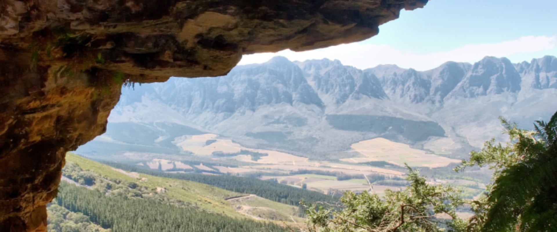 Saiba mais sobre o habitat caverna dos morcegos