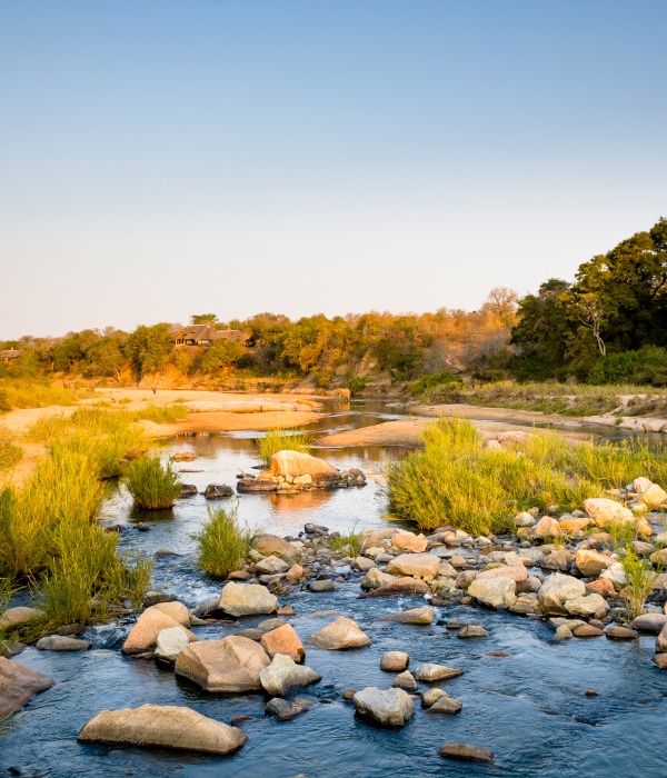 singita ebony lodge