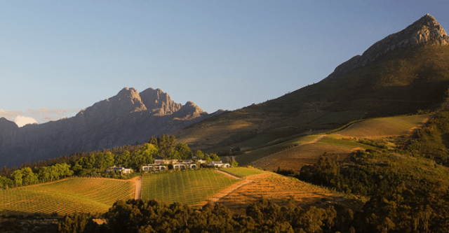 The Best of the Cape Winelands 7
