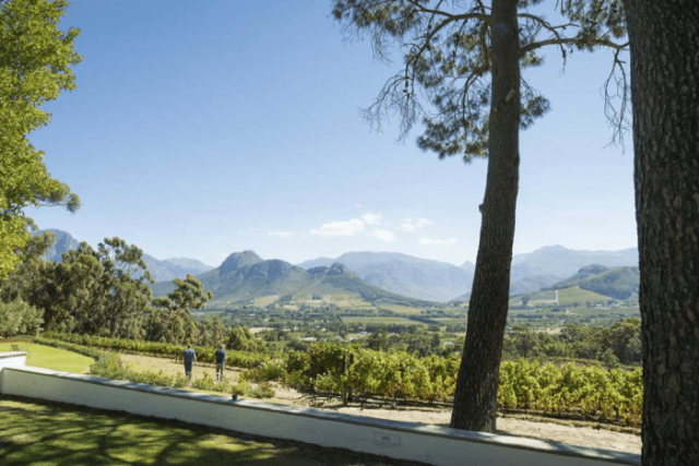 The Best of the Cape Winelands 10