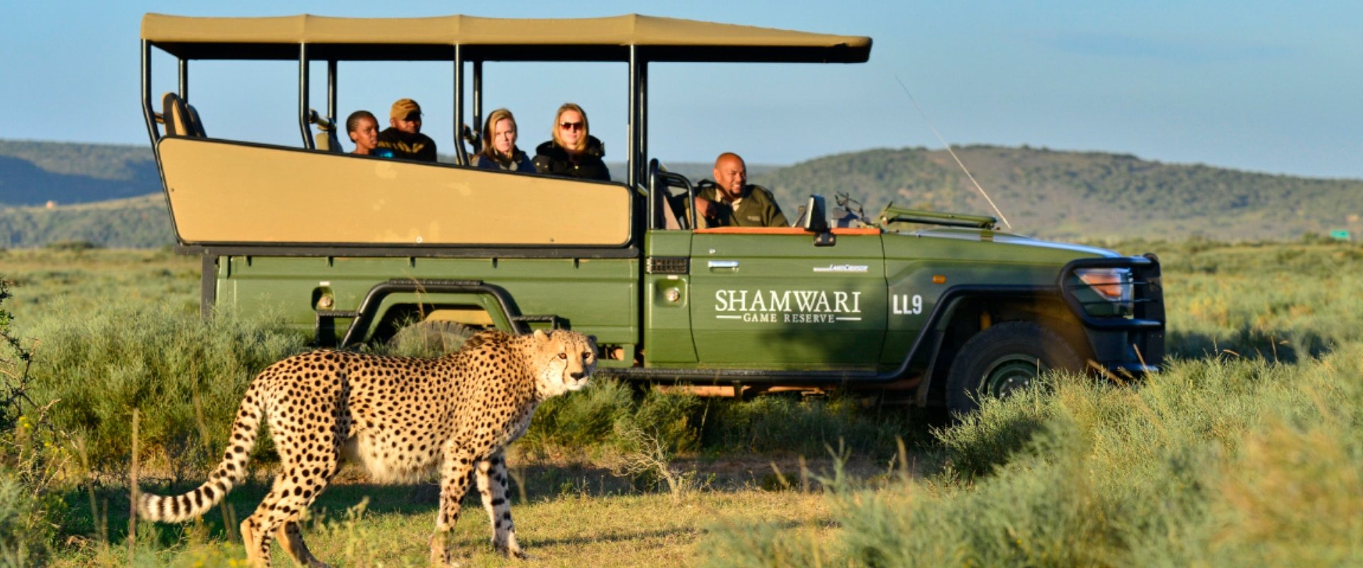 Go on a Big 5 game drive