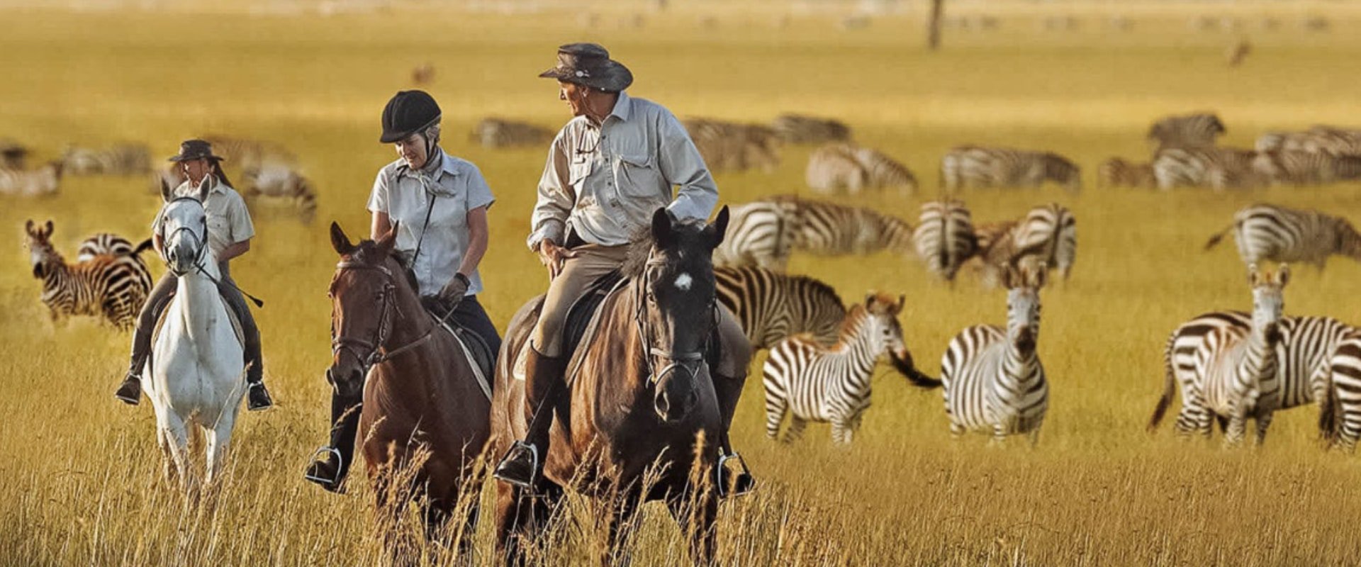 Set off on a horseback safari in the mystical world of the Green Kalahari