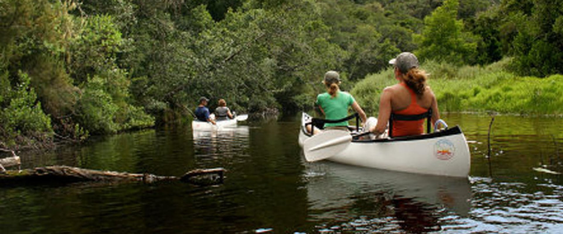 Canoe along the picturesque Goukamma River
