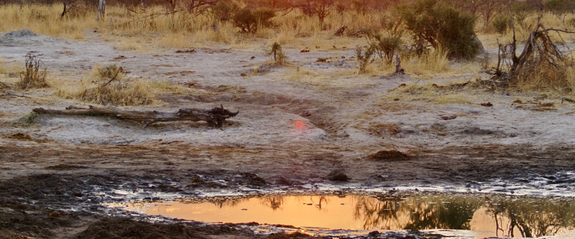 Watch the sunset over Fisher’s Pan waterhole