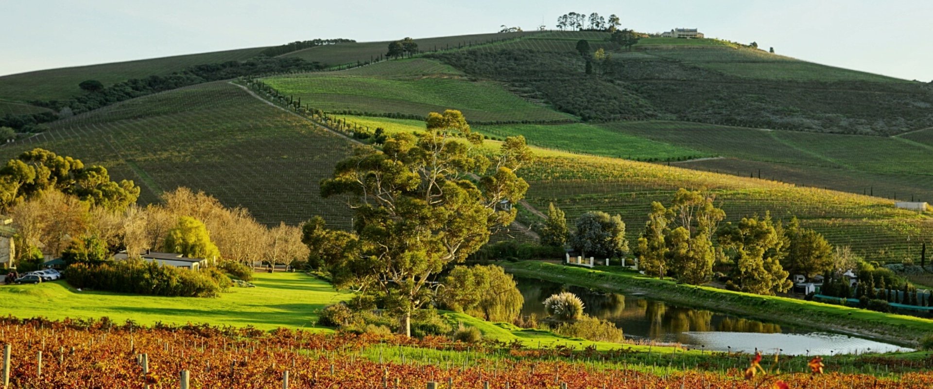 Jordan Wine Estate