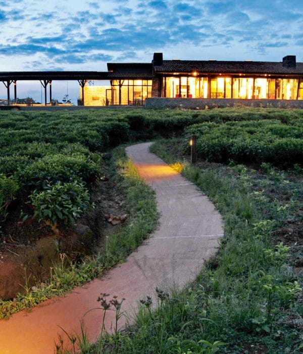 One&Only Nyungwe House 7