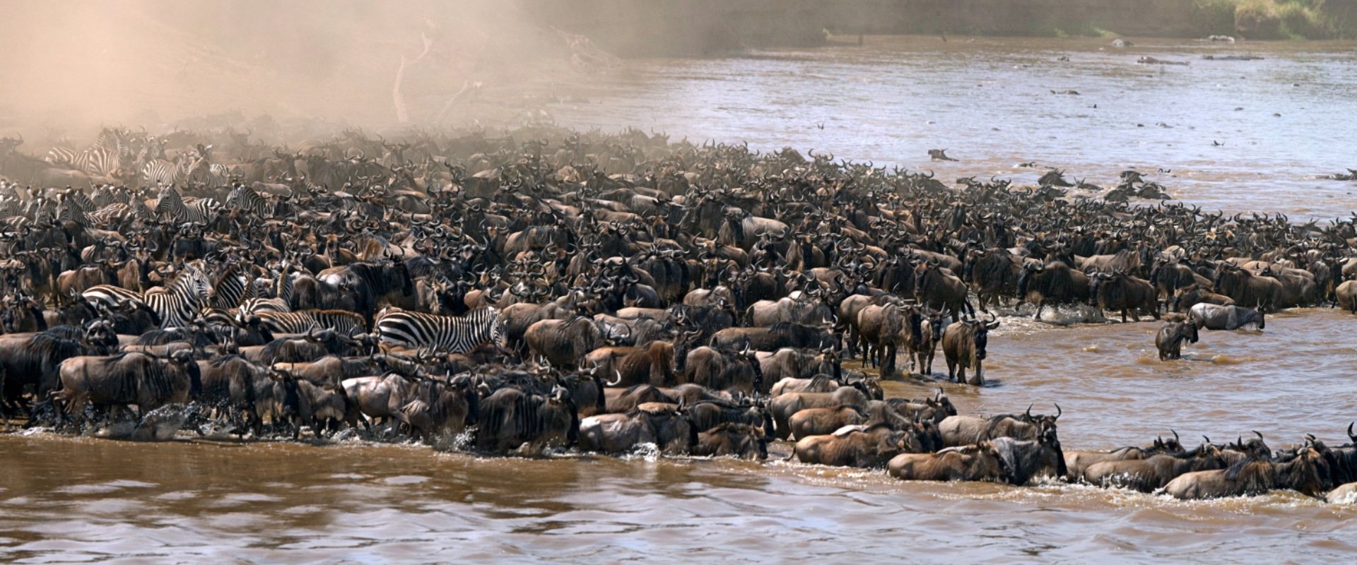 The Great Migration 2